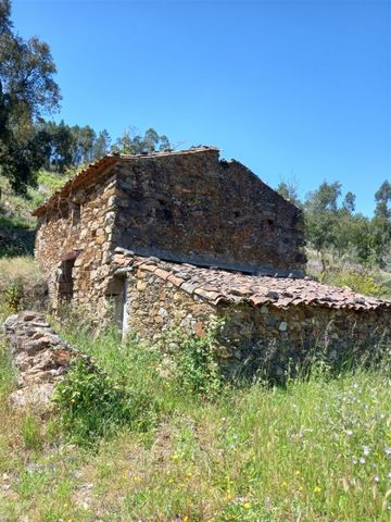 House in ruin with implantation area of 63m2 and useful area of 93m2, with land of 1 ha (hectare), in the village of Vale do Cobrão, Vila Velha de Rodão. Land with olive trees, fruit trees and the possibility of planting more, water from 2 mines and ...