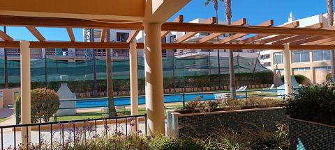 Spacieux appartement de 3 chambres à 1km de Vilamoura Marina à vendre. Situé au premier étage avec ascenseur, cet appartement se compose d’un hall avec placard, d’un grand salon avec accès à un bon balcon, d’une cuisine équipée, de 3 chambres, dont 1...