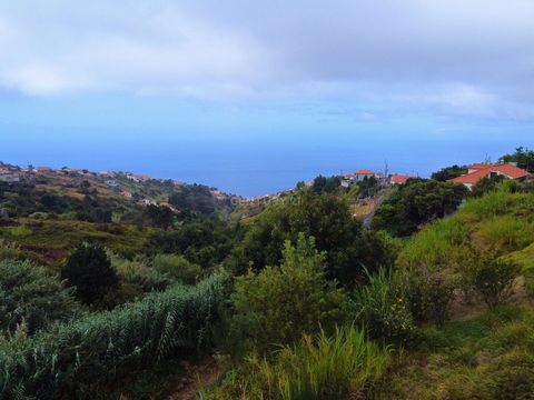 Nous vous présentons ce terrain rustique de 495m², situé dans l’un des quartiers les plus charmants de l’Arco da Calheta, à Faias. Avec une vue imprenable sur les montagnes, cet espace offre le refuge parfait pour ceux qui recherchent la tranquillité...