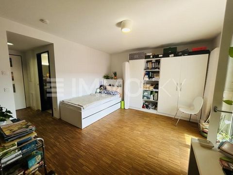 Te koop is een sfeervol appartement met 1 slaapkamer in het pittoreske stadje Idstein. Deze woning combineert comfort met een praktische kamerindeling en is ideaal voor alleenstaanden, forenzen of als investering. Het appartement biedt een grote woon...