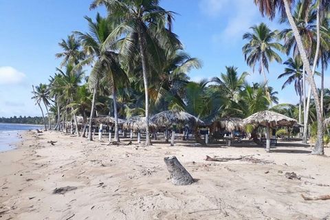 Terre mouillée par les eaux de la mer de la baie écossaise de Nagua, idéale pour les entreprises liées au commerce approprié au lieu telles que restaurant, bar, magasin d’alcools, etc. Un lieu qui reçoit des milliers de visiteurs chaque week-end, la ...