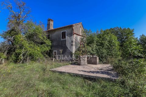 Location: Istarska županija, Žminj, Žminj. Istrien, Žminj, Umgebung, Diese authentische istrische Villa befindet sich in der wunderschönen Umgebung der Region Istrien und bietet die ideale Gelegenheit, eine Oase des friedlichen Lebens zu schaffen. Di...