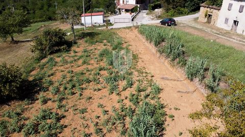 Location: Istarska županija, Motovun, Brkač. Istrien, Motovun, Umgebung Nicht weit von Motovun entfernt, auf einem nahegelegenen Hügel, befindet sich ein Baugrundstück mit regelmäßiger Form und der gesamten Infrastruktur auf dem Grundstück. Das Grund...