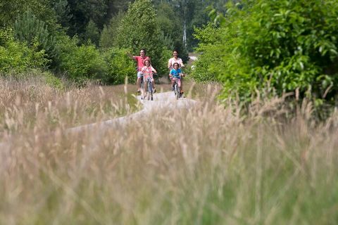 Les luxueuses habitations de vacances se trouvent toutes sur une vaste propriété bénéficiant dun jardin joliment situé. Elles disposent dune agréable terrasse et de leur propre emplacement de parking. Les habitations indépendantes se trouvent au rez-...