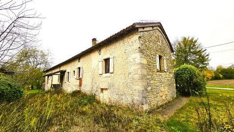 photo no. 16