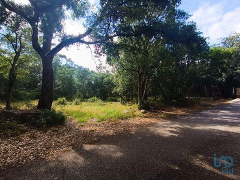 Terreno Urbano com 2112 m² à Beira da Serra de Aire e Candeeiros - Lagoa do Cão Descrição do Terreno: Este terreno urbano com 2112 m² encontra-se na freguesia de Lagoa do Cão, uma localidade tranquila e rodeada pela natureza, junto à Serra de Aire e ...