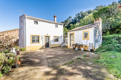 Identificação do imóvel : ZMPT570025 Située à Monchique, dans la région de Brejos, cette propriété à usage mixte combine des terrains résidentiels et agricoles, totalisant 3 060 m². Maison 1 chambre - La maison, d’une surface de construction de 60 m²...