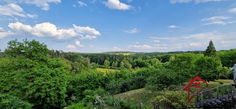 Located on the borders of Haute-Saône, Vosges and Haute-Marne, this charming old house offers exceptional and panoramic views for lovers of breathtaking landscapes. Nestled in a peaceful and pretty Renaissance village, this unique property will seduc...