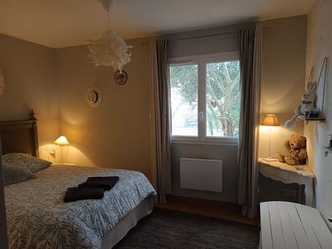 photo no. 11