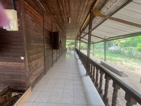 photo no. 2
