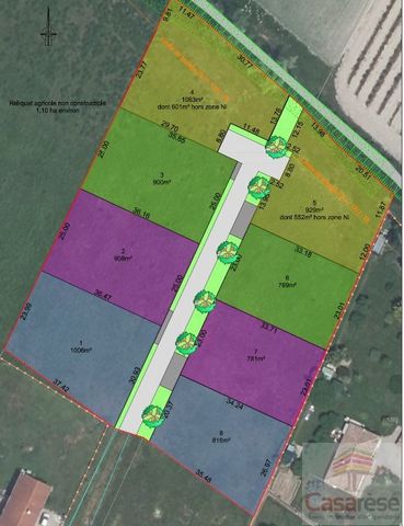 À 15 min de Moissac et de Castelsarrasin, 30 min de Montauban et 45 min de Toulouse : Situé dans un lotissement, en fond d'impasse et très calme, à proximité du centre-ville de Saint-Nicolas-de-la-Grave, des écoles et commerces, venez découvrir ce te...