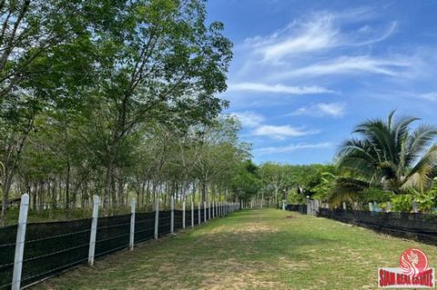 10 Rai of flat land close to Thai Mueang Beach only 5 mins for sale in Phangnga. Available on the title deed. A private 8-meter-wide plot connects to this plot. The plot has a width of about 92 meters and a length of about 230 meters. Green and lush ...