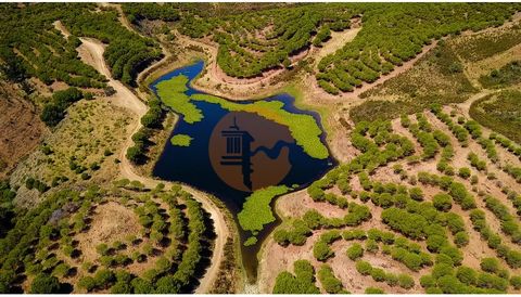 Terrain de 643 160 m2, à Soalheira, Castro Marim - Algarve. Avec son propre lac et étang d'eau. Électricité sur place. Terrain mixte avec zone urbaine pour une construction immédiate. Possibilité de projets agricoles. Possibilité d'un TURISCO DEVELOP...