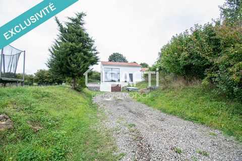 Située dans la charmante commune de Saint-Pancré (54730), cette maison neuve en cours de finition offre un cadre de vie paisible au cœur de la nature. Profitant d'un vaste terrain de 1990 m² sans vis-à-vis, elle garantit intimité et tranquillité. Pro...