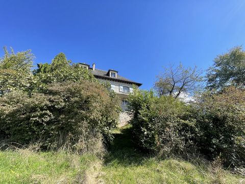 photo no. 11