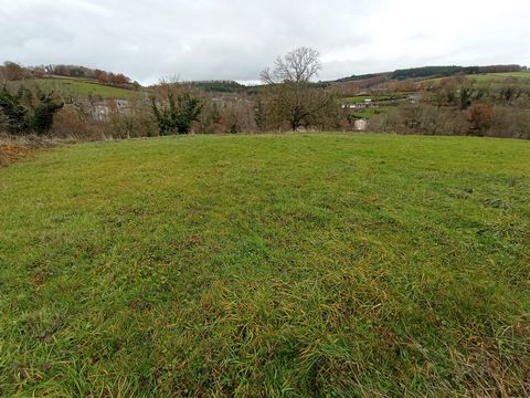 photo no. 1