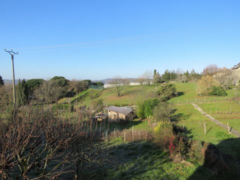 photo no. 13
