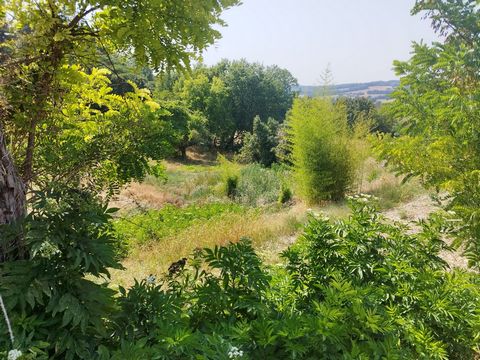 photo no. 11