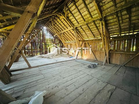 photo no. 12
