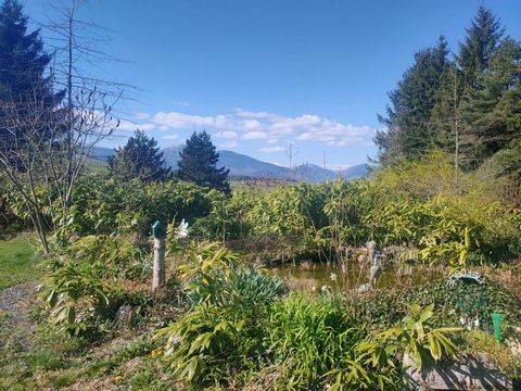 photo no. 14