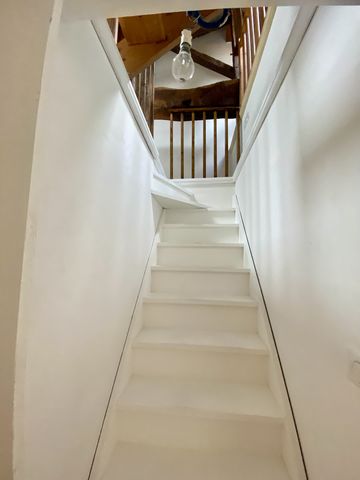 photo no. 11