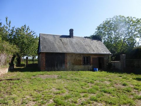 photo no. 11