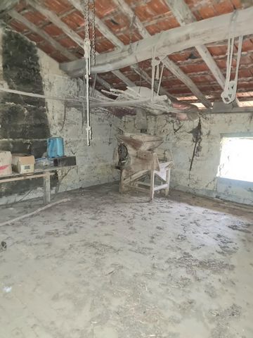 photo no. 11