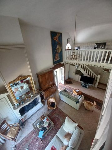 photo no. 11