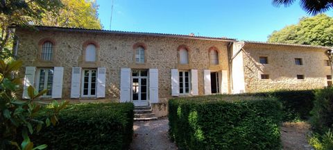 photo no. 16