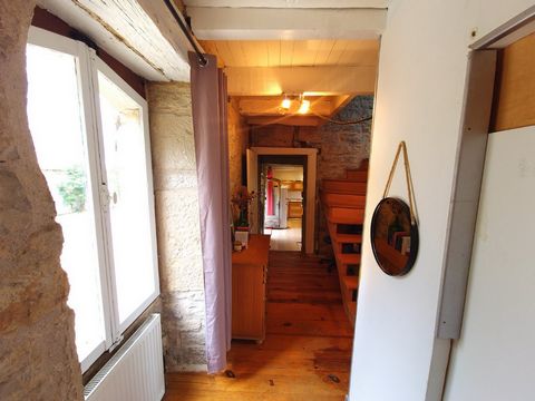photo no. 7