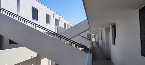 photo no. 8