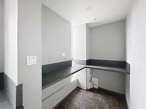 photo no. 8