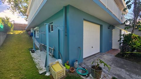 photo no. 15