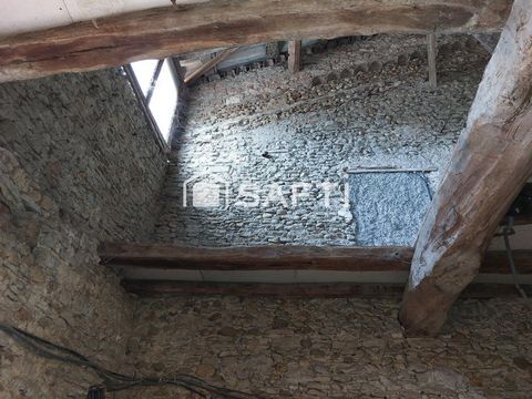 photo no. 11