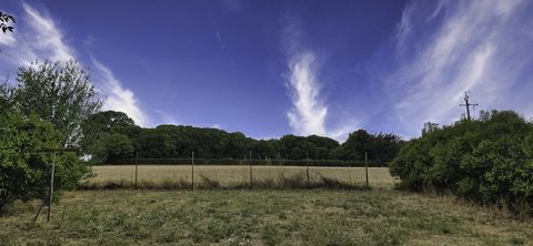 photo no. 13