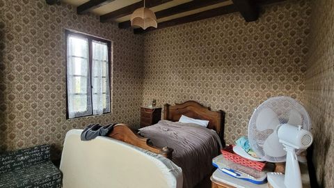 photo no. 11