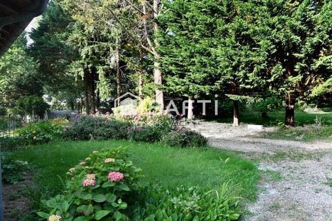 photo no. 19