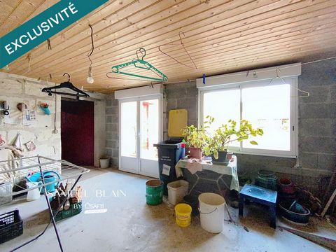 photo no. 10