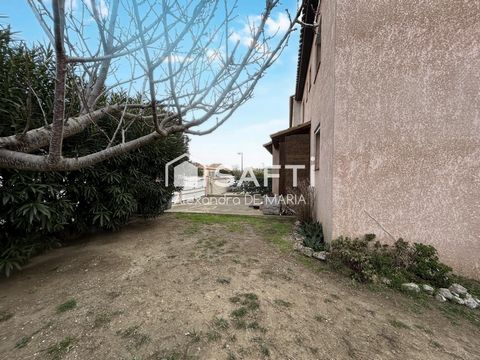 photo no. 13