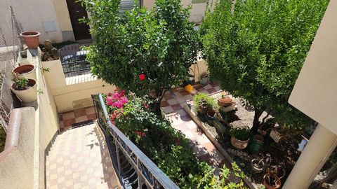 photo no. 10