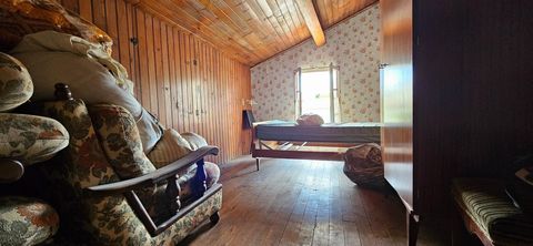 photo no. 12