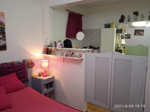 photo no. 8