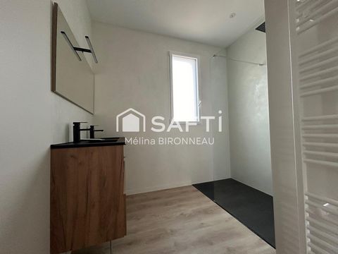 photo no. 11