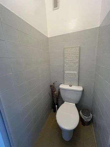 photo no. 6