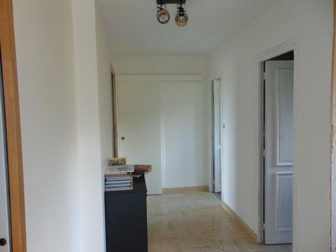 photo no. 11