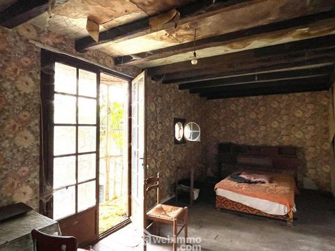 photo no. 10