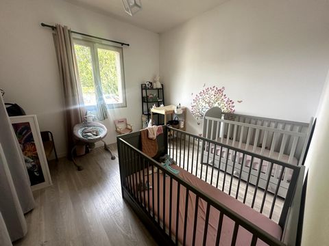 photo no. 7