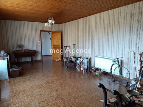 photo no. 12