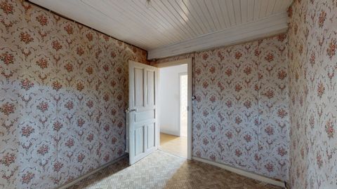 photo no. 12