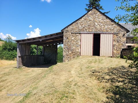 photo no. 3